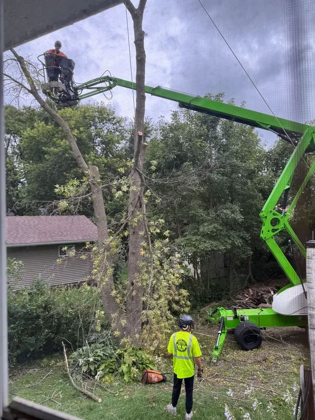 River City Tree Service LLC — customer photo 10