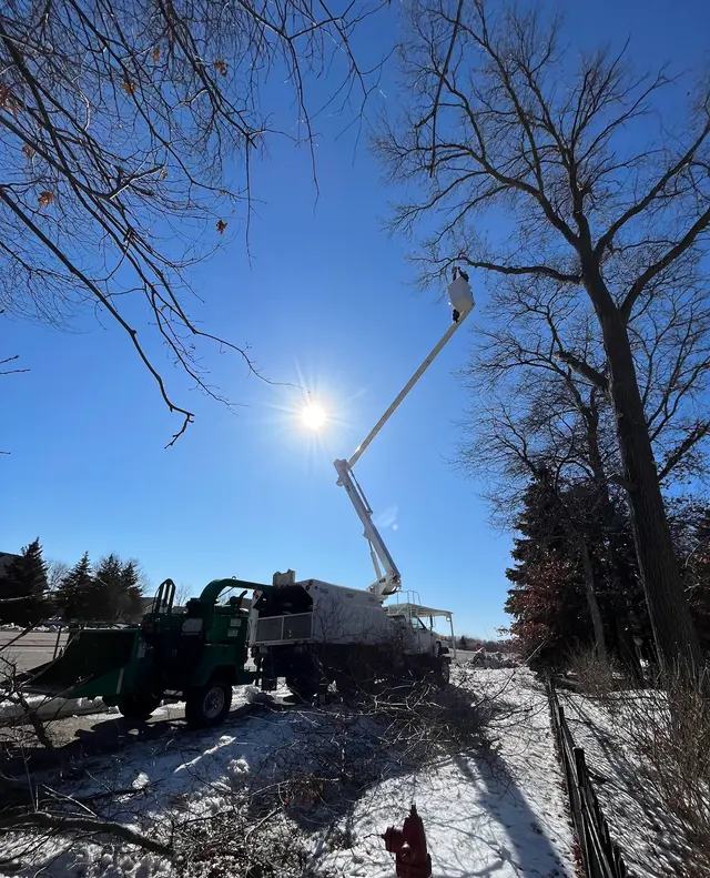 River City Tree Service LLC — photo from the business 1