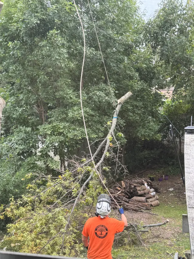 River City Tree Service LLC — customer photo 11