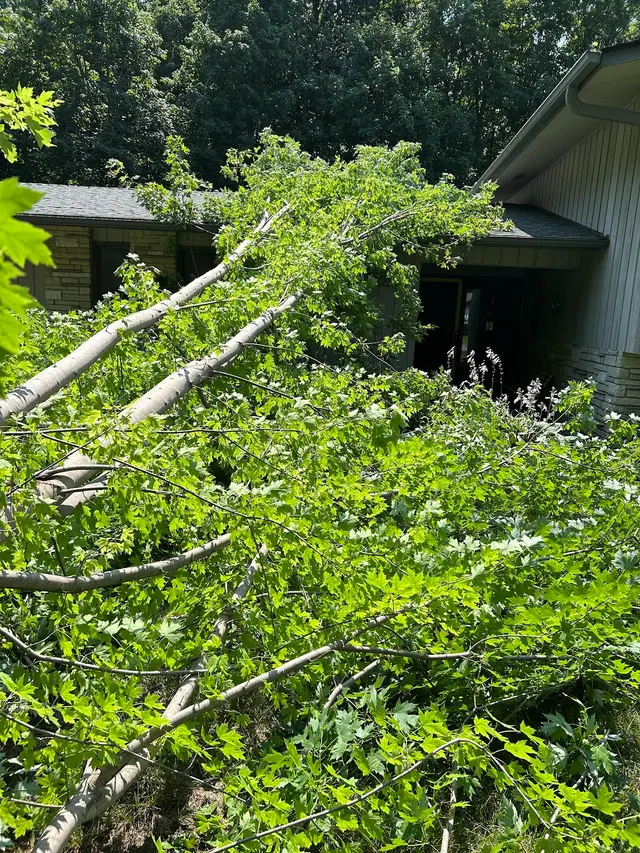 Victory Tree Service, LLC — customer photo 12