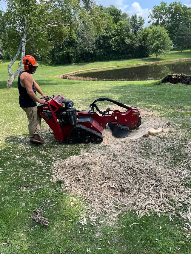 Victory Tree Service, LLC — photo from the business 11