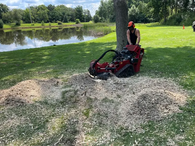 Victory Tree Service, LLC — photo from the business 6