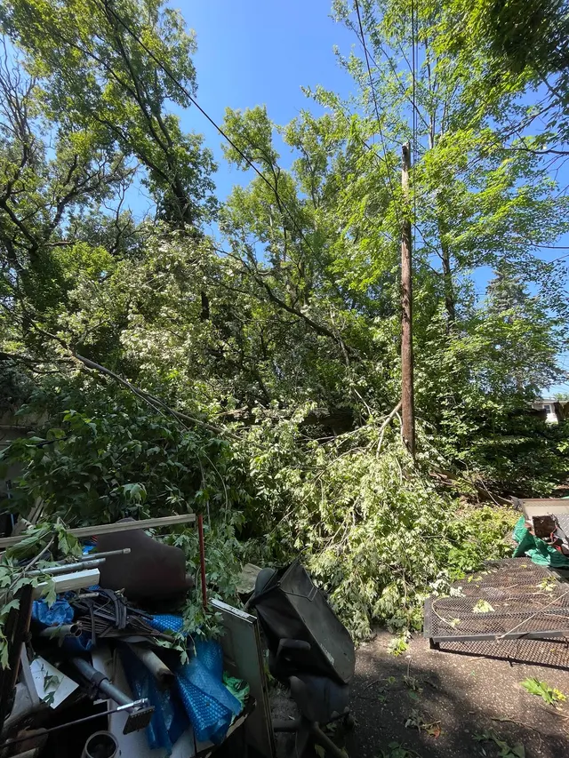 Victory Tree Service, LLC — photo from the business 2