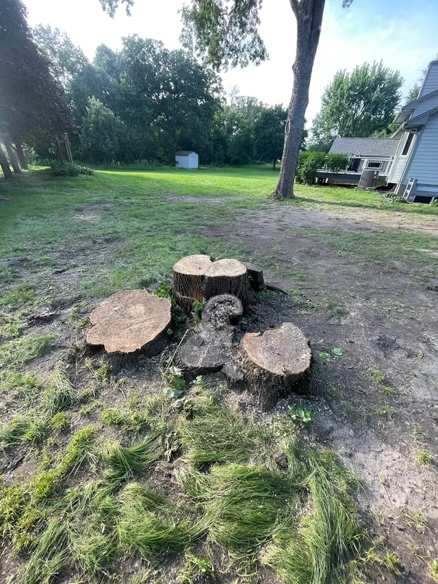 Victory Tree Service, LLC — photo from the business 5