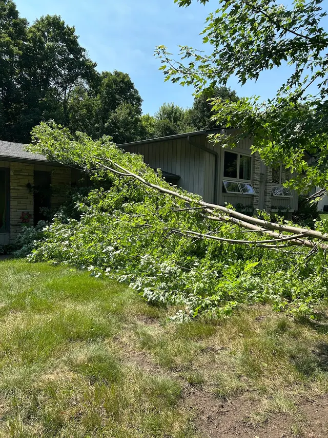 Victory Tree Service, LLC — customer photo 7