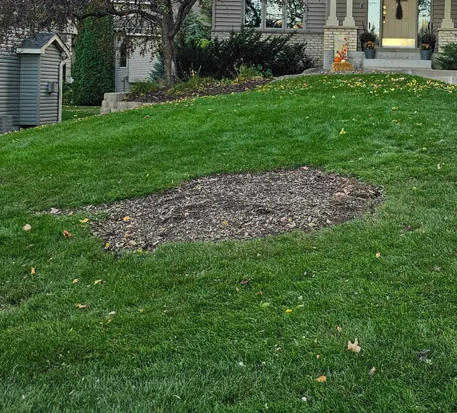 Victory Tree Service, LLC — customer photo 10