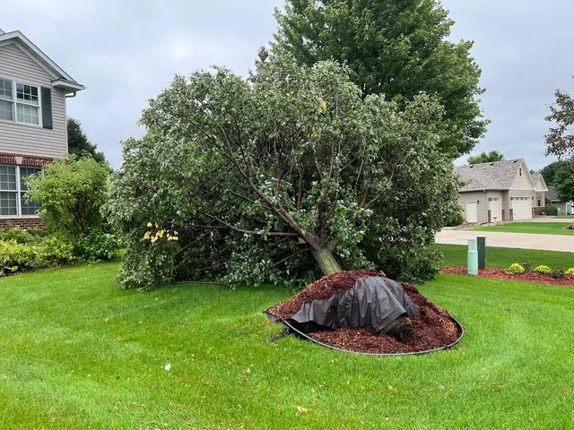 Victory Tree Service, LLC — customer photo 8