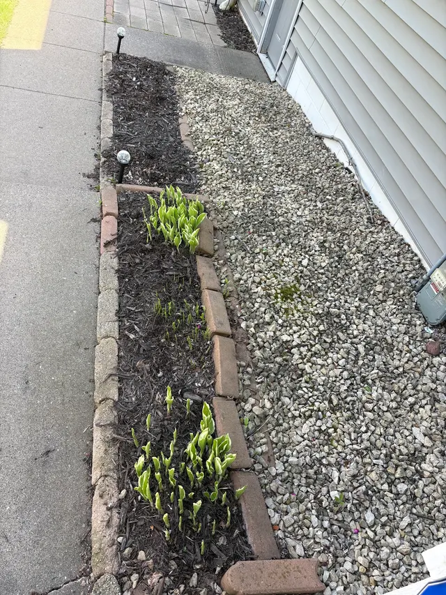 Customer photo of work by North Metro Outdoor Services LLC, from Melissa Doty's review