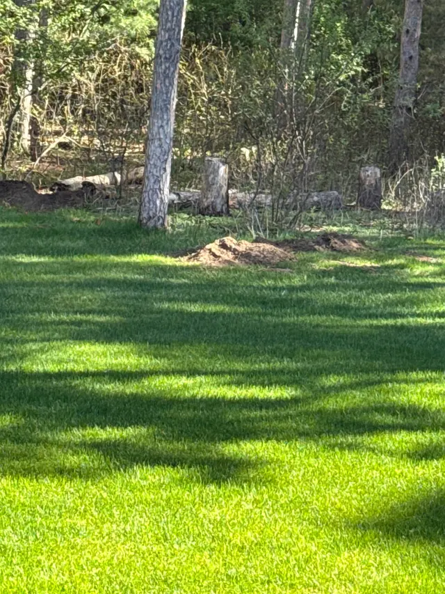 Northstar Stump Grinding — customer photo 8