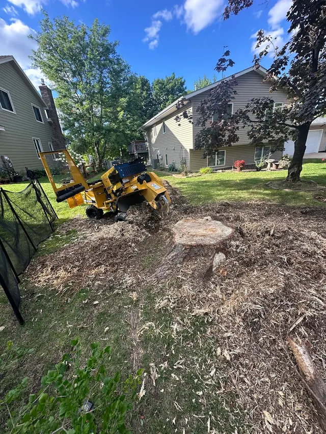 Northstar Stump Grinding — photo from the business 12