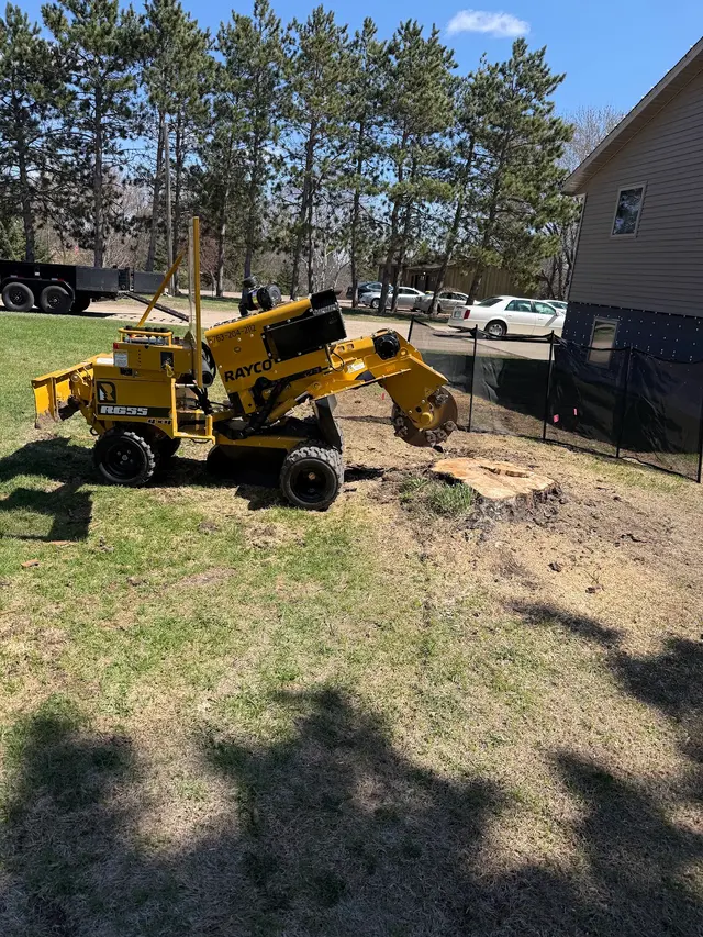 Northstar Stump Grinding — photo from the business 2