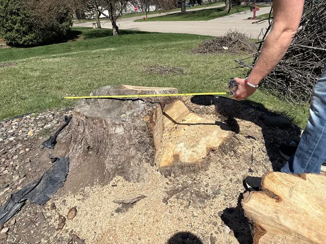 Northstar Stump Grinding — customer photo 1