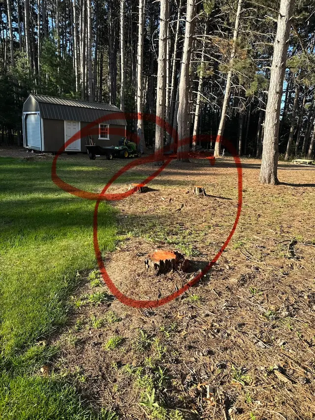 Northstar Stump Grinding — customer photo 7