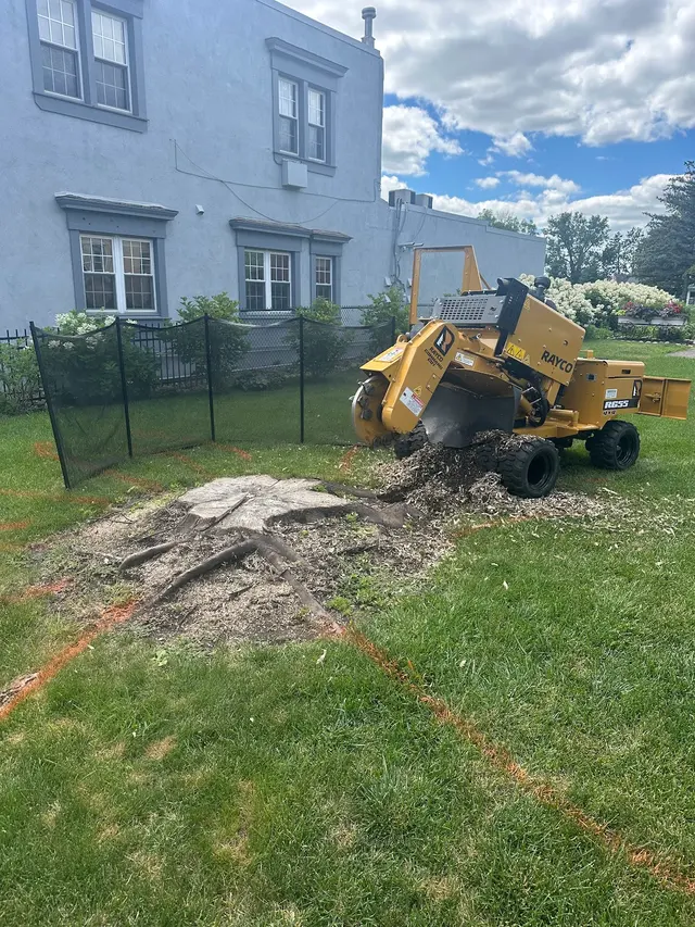 Northstar Stump Grinding — photo from the business 11