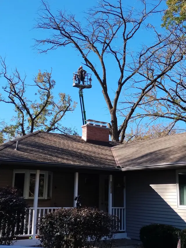 Tripp's Tree Service LLC — customer photo 2