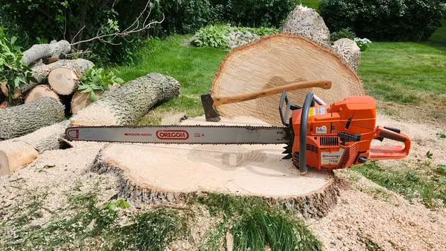 Tripp's Tree Service LLC — photo from the business 1