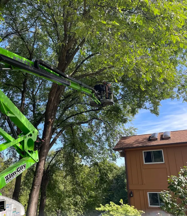 Tripp's Tree Service LLC — customer photo 3