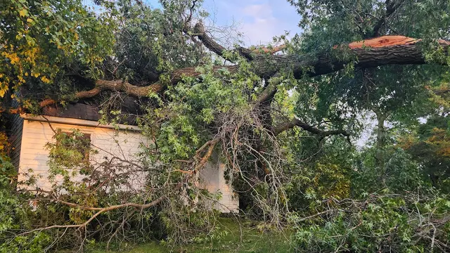 Tripp's Tree Service LLC — photo from the business 9