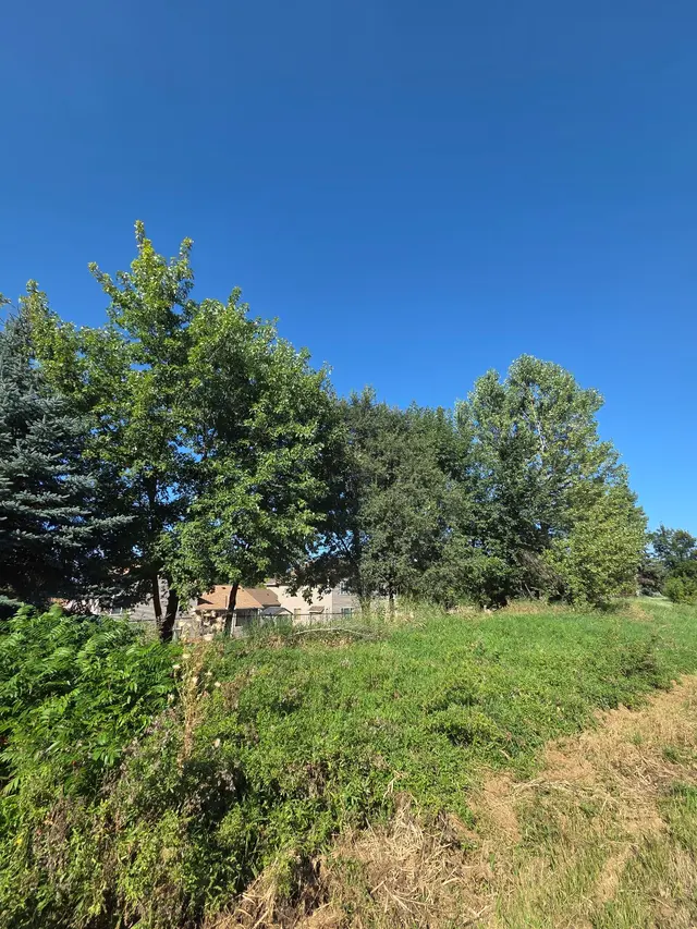 Tripp's Tree Service LLC — photo from the business 10