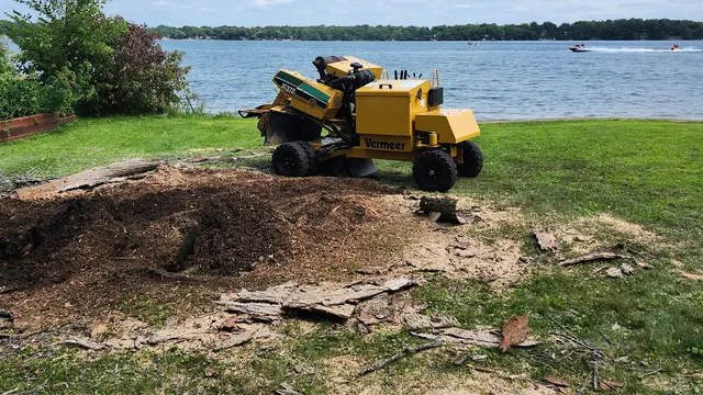 Tripp's Tree Service LLC — photo from the business 4
