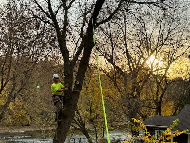 Tripp's Tree Service LLC — photo from the business 7