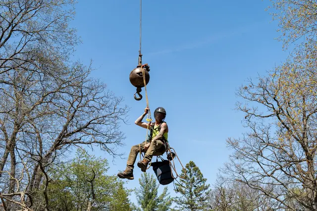 Tree Pro's Tree Service & Landscaping — photo from the business 8