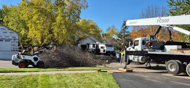 Customer photo of work by Tree Pro's Tree Service & Landscaping, from Heidi Herda (Heidi Herda Real Estate)'s review