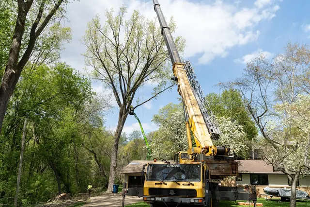 Tree Pro's Tree Service & Landscaping — photo from the business 7
