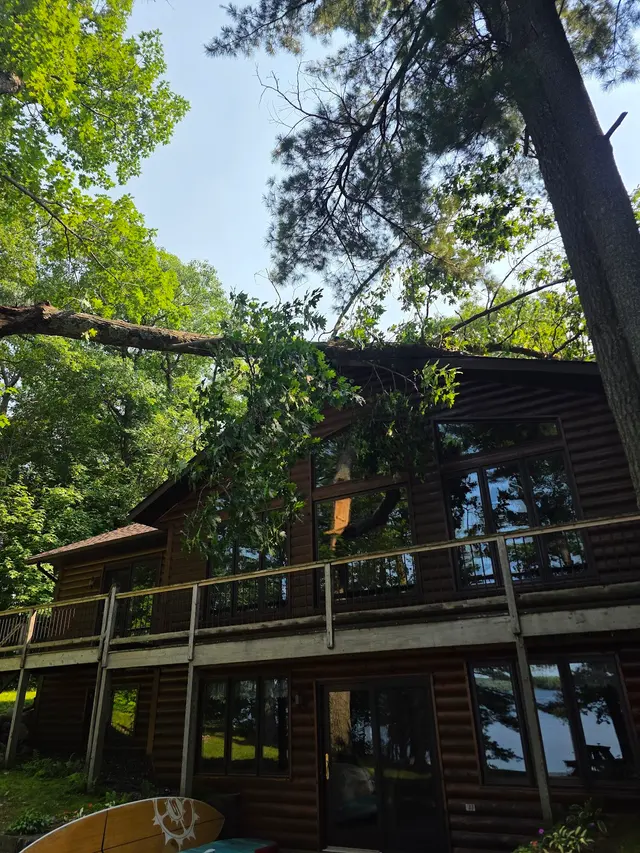 Tree Pro's Tree Service & Landscaping — photo from the business 10