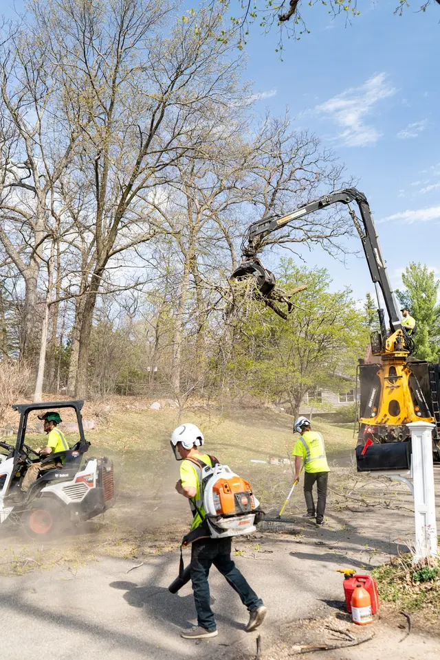 Tree Pro's Tree Service & Landscaping — photo from the business 11
