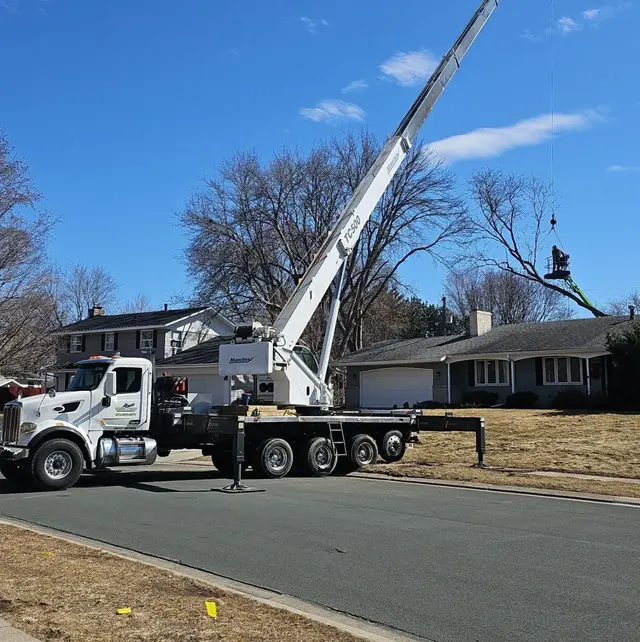 Tree Pro's Tree Service & Landscaping — photo from the business 3