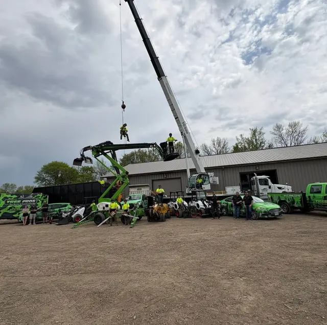 Tree Pro's Tree Service & Landscaping — photo from the business 9