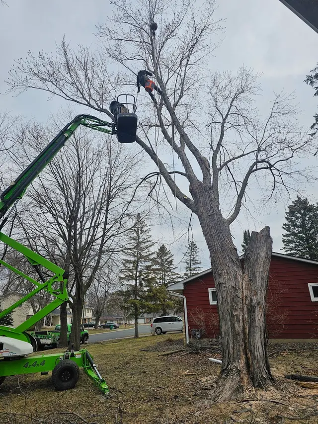 Tree Pro's Tree Service & Landscaping — photo from the business 2