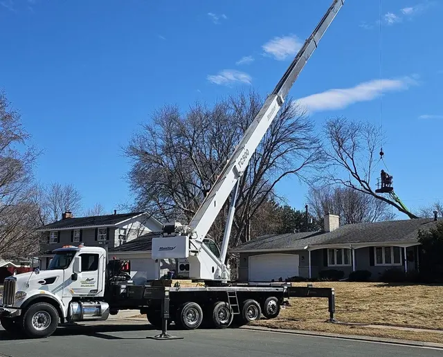 Tree Pro's Tree Service & Landscaping — photo from the business 1
