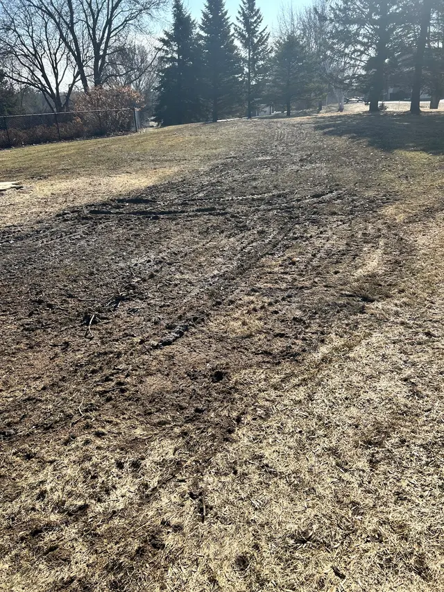 Customer photo of work by Eggert's Tree Service, from Jeff McGinty's review