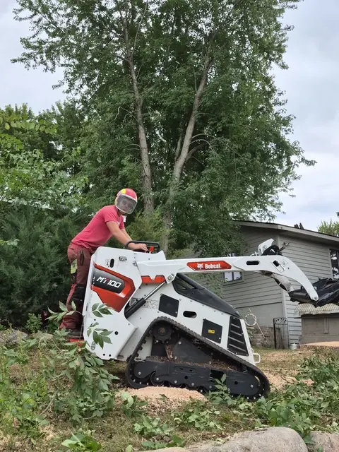Customer photo of work by Eggert's Tree Service, from Niece Nardini's review