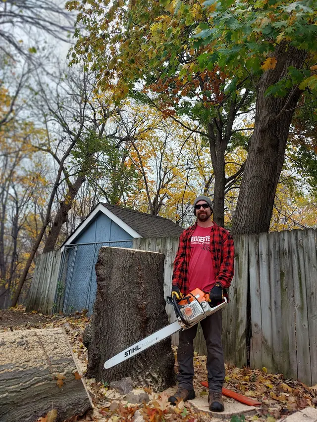 Eggert's Tree Service — photo from the business 6