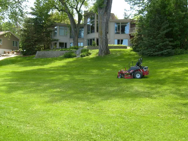 Wizard Lawn Service And Snow Plowing LLC. — photo from the business 8
