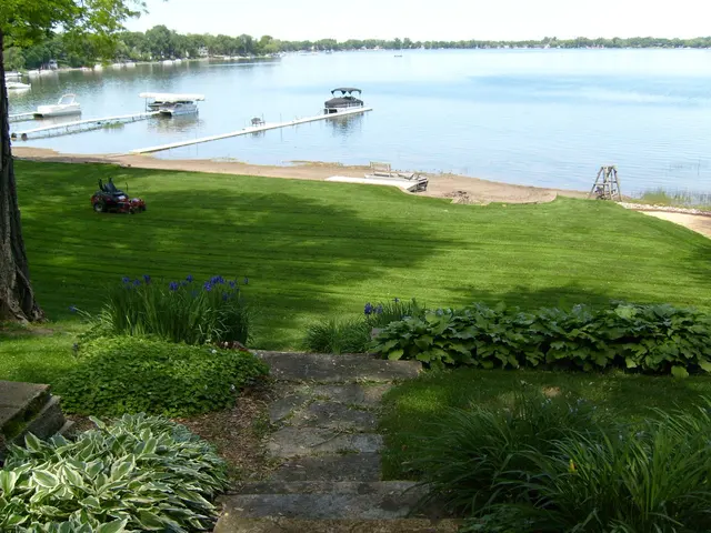 Wizard Lawn Service And Snow Plowing LLC. — photo from the business 5