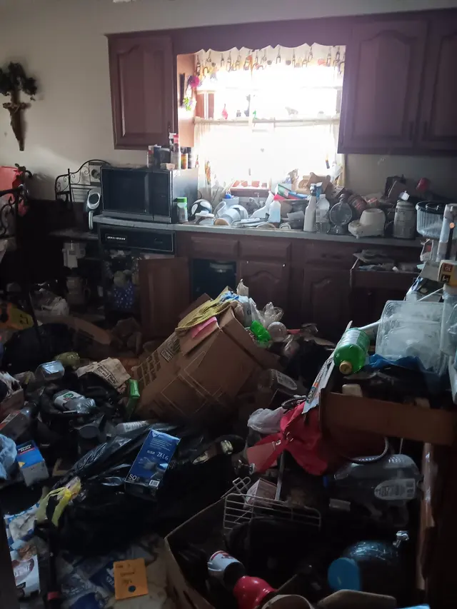 Keyz Junk Removal and Dump Trailer Rental — photo from the business 4