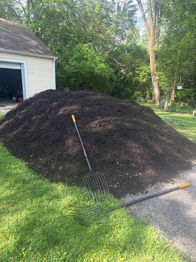 Double Duty Junk Removal & Property Services — photo from the business 4