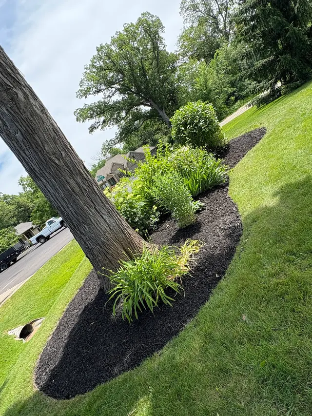 Double Duty Junk Removal & Property Services — photo from the business 6
