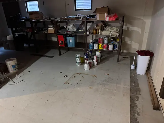 Junk Removal Dudes™ Rockford — photo from the business 11