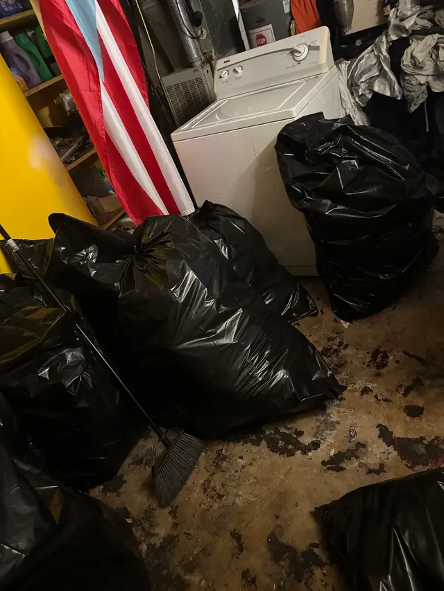 Alpha Dog Junk Solutions LLC — photo from the business 7