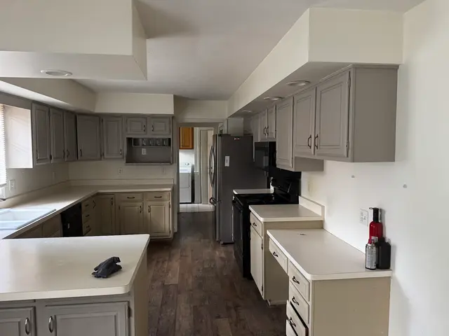 Alpha Dog Junk Solutions LLC — photo from the business 10