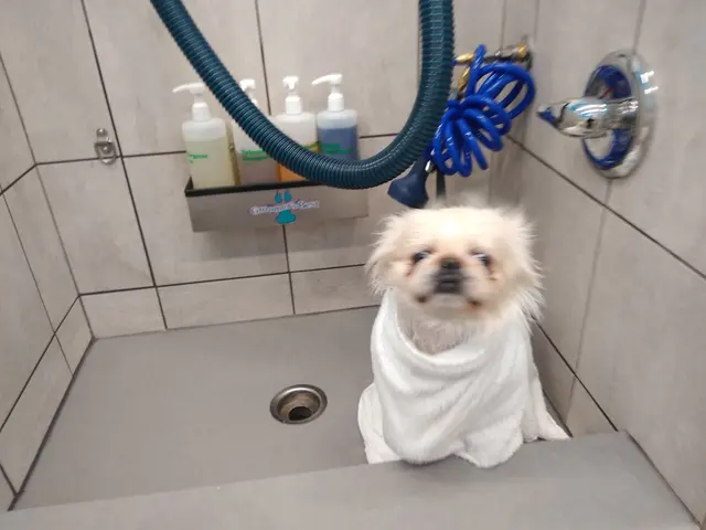 Pet Supplies Plus Buda — customer photo 7