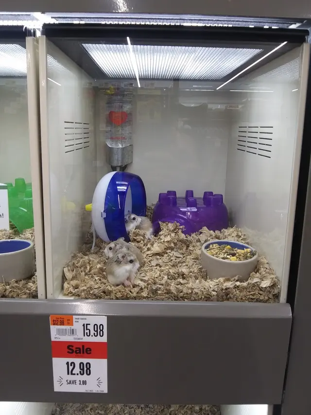 Pet Supplies Plus Buda — customer photo 5