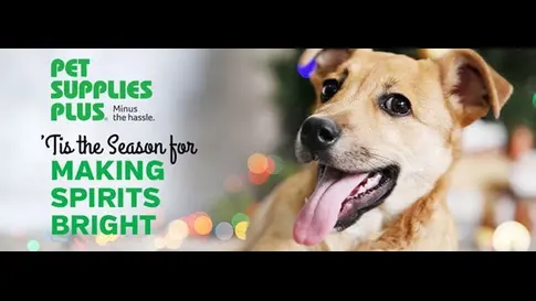 Pet Supplies Plus Buda — photo from the business 12