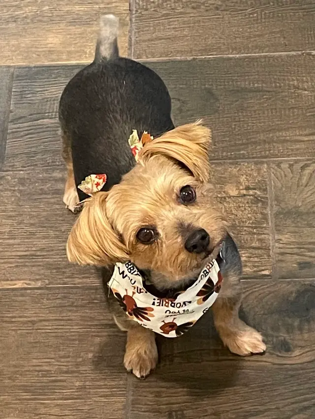 Pet Supplies Plus Buda — customer photo 6