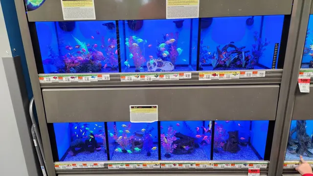 Pet Supplies Plus Buda — customer photo 3